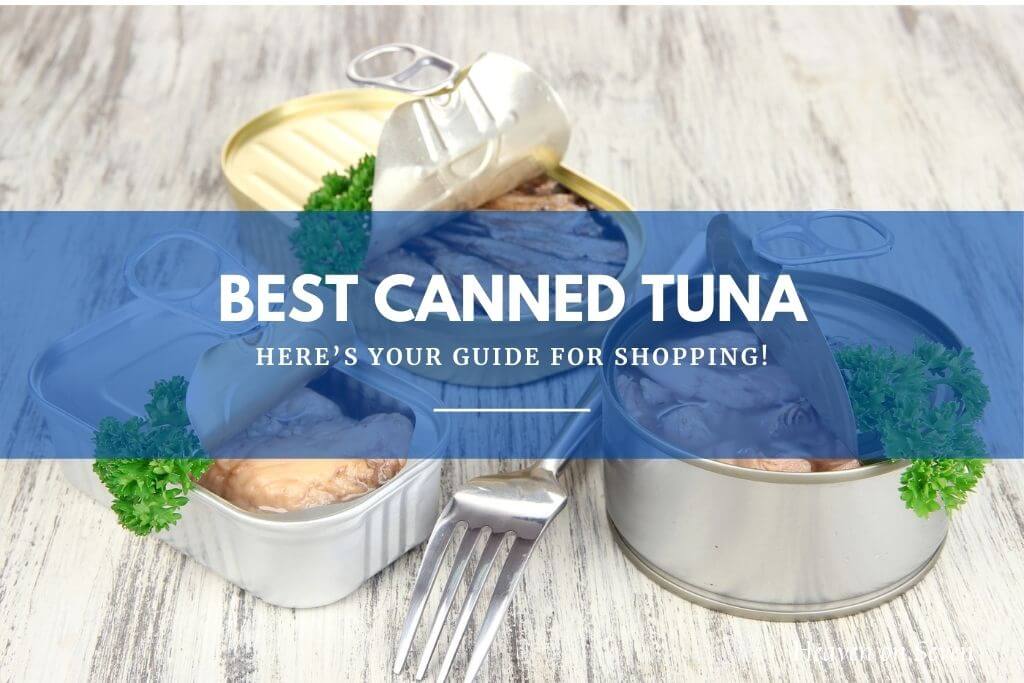 Best Canned Tuna